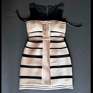 BCBG Max Azria mesh top dress, figure-hugging, shiny fabric, elegant and chic.